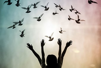 A liberdade por meio da consciência tumb