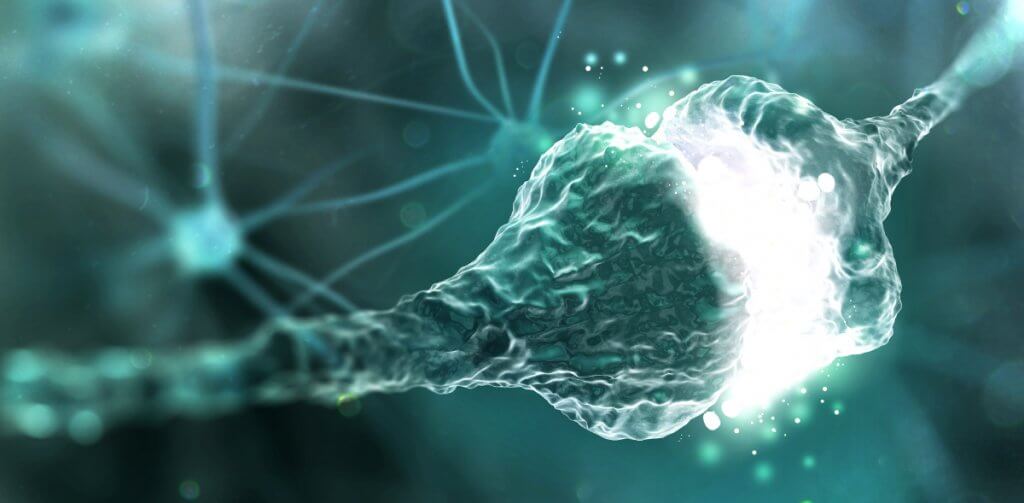 imagem ilustrativa dos neurônios